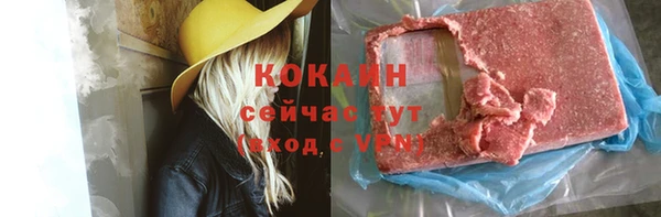 прущий лед Алзамай