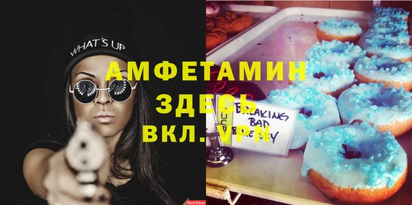 прущий лед Алзамай